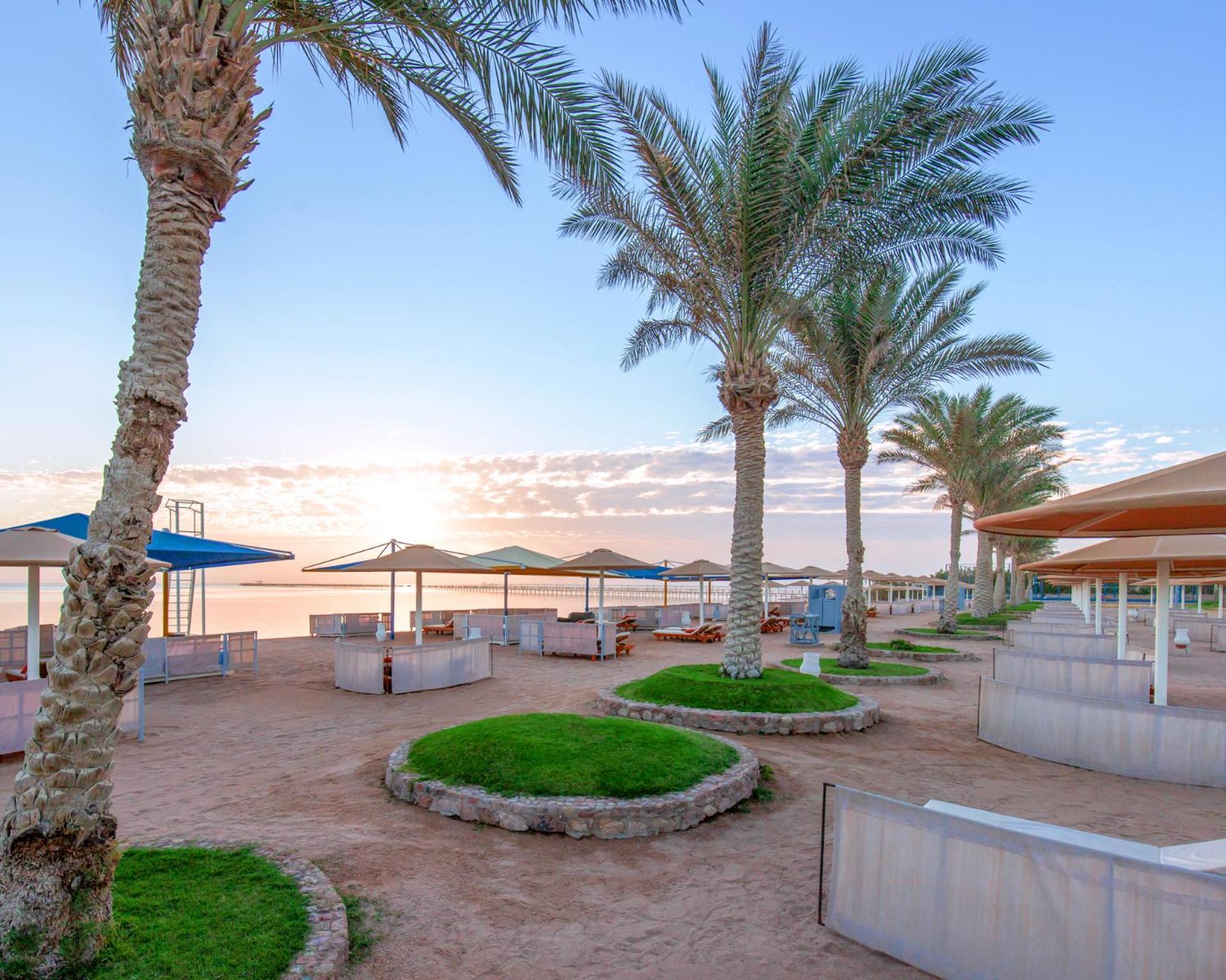 Hotel Pickalbatros Royal Moderna Sharm "Aqua Park" Esterno foto The photo depicts a scenic outdoor area by the water, characterized by several palm trees swaying gently in the breeze. There are shaded seating areas with umbrellas and what appear to be lounge spaces arranged in a circular format with patches of gr